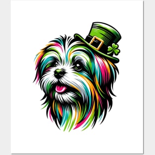 Lowchen Dog Celebrates St Patrick's Day in Style Posters and Art